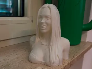 Provocative Girl Bust