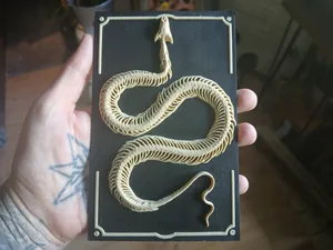 snake skeleton