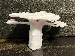 The Baobab Tree