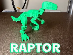 Raptor