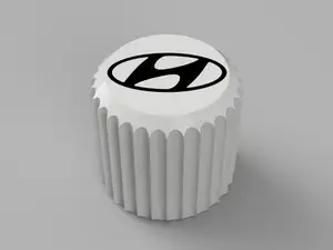 Valve Cap Hyundai