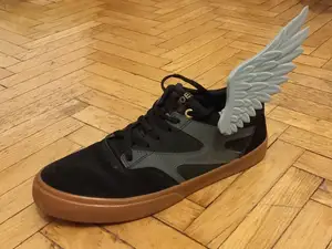 Hermes Wings