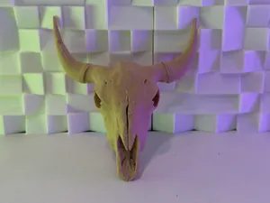 Buffalo Skull (10-25 Grams)