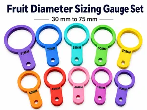 Fruit Calibrator – 30 to 75mm