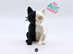 Meow & Mortem - Schrödingers Katze