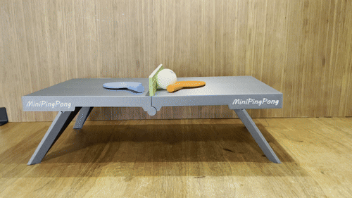 Mini Ping Pong Table-Foldable-Print in Place