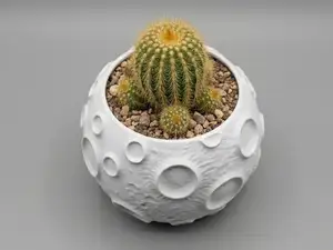 Lunar Surface - Vase Planter / Desk Organizer