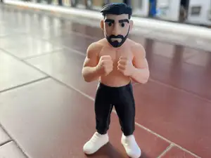 MMA FIGHTER UFC - ILIA TOPURIA