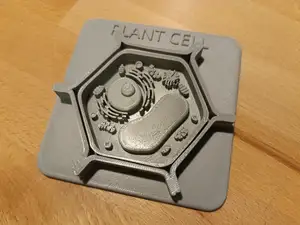 plant cell