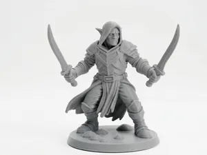 Dark Elf Assassin