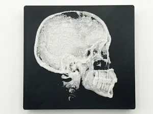 Anatomia X-Ray Realistica: Profilo Cranico