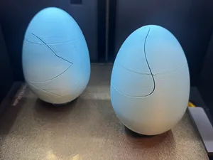 Crack & Reveal Surprise Egg (Fillable & Breakable)
