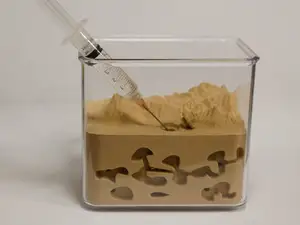 Cute small Ant Nest with secret tunnels