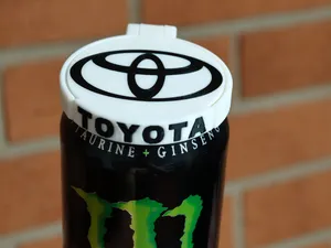 TOYOTA can lid insect dust protectore