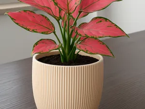 Vaso elegante 12 cm
