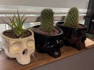 Skull Pot