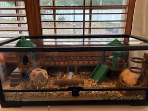 30" Modular Hamster Forest Habitat System