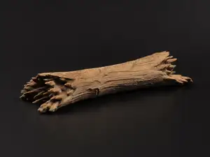 Laying Broken Tree Trunk - DND Miniature terrain
