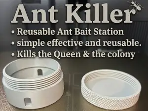 Ant Trap