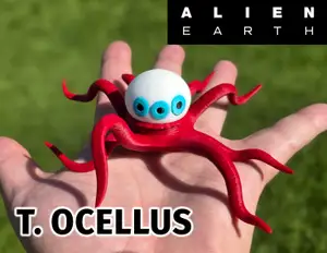 T. Ocellus - Alien Earth