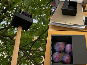 Obst Erntehelfer / Pflücker