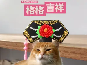 格格驾到!给猫主子请安啦~