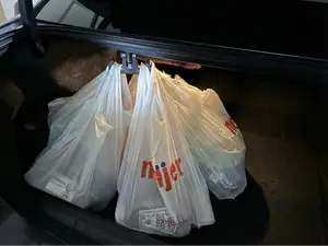 Trunk Grocery Bag Hook
