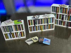 Mini Vinyl Kallax Shelf (Customize)