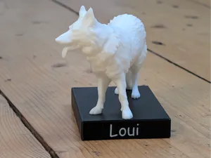 White Shepard with customizable Name