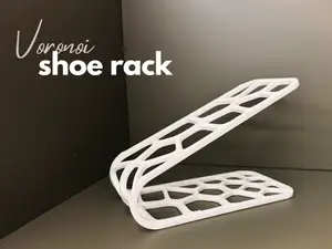 Voronoi Shoe Rack