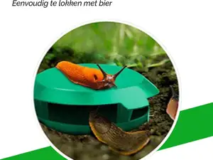 Beer trap for snails