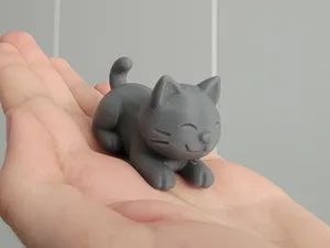 Cute little cat