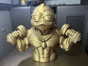 Buff Gymbro Duck