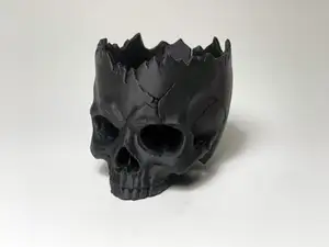 Human Skull Planter
