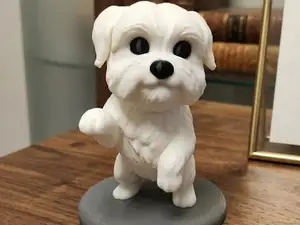 Miniatura Cane Maltese