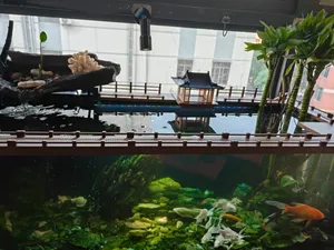 鱼缸防跳边