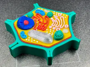 Plant Cell