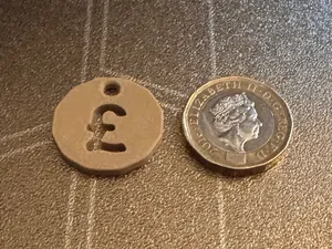 £1 Trolley Coin with Keychain Hole (Pound Coin)