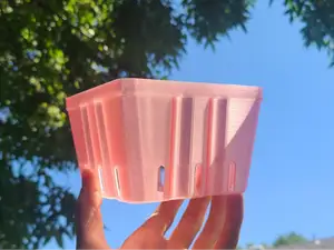 Stackable Fruit Basket / Strawberry Carton