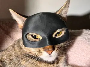 Catwoman Mask For Cats (Feminine Version)
