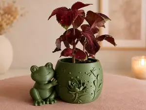 Cute Frog Water Lily Planter