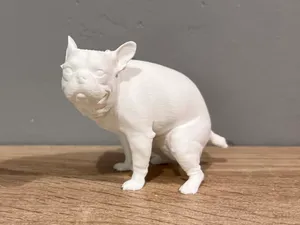 Pooping French Bulldog - Animal - Dog