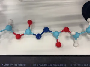 【可定制】常见分子模型