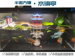 半亩方塘·水镜亭