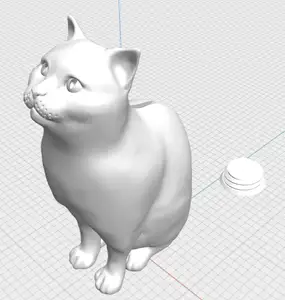 Schrodinger cat piggy bank piggybank