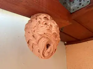 Realistic Fake Wasp Nest Deterrent