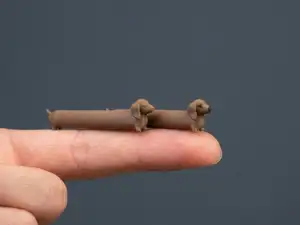 Mini Buddy #31 - Long Dachshund | 2 grams