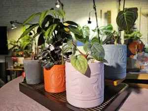 Fuzzy Liquid Pattern Planter + Plate - 3 Sizes!