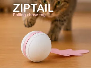 ZIPTAIL – Rolling Chase Toy