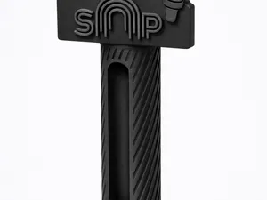 SAP MIC 2
